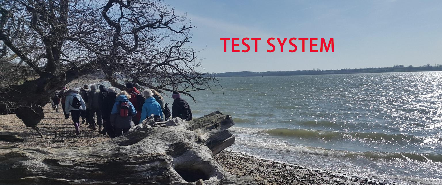 Walking on the Estuary